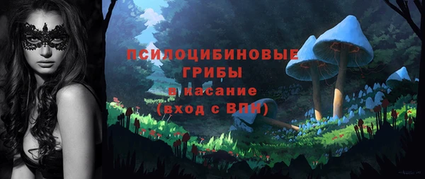 прущий лед Карпинск